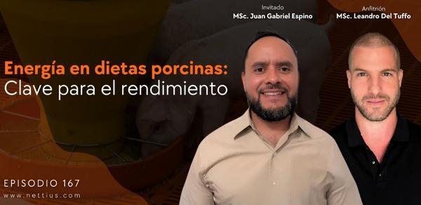 CerdoCast #167 - Energía en dietas porcinas: CLAVE para el rendimiento - Image 1