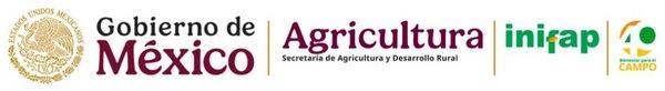 México - Uso de grasas en cerdos: Curso en INIFAP - Image 2