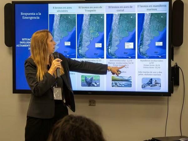 Argentina - Sectores se unen para fortalecer respuesta a brotes de influenza aviar - Image 1