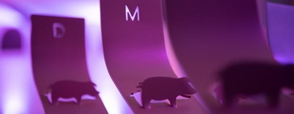 España - Premios Porc d’Or Ibérico: Las 34 granjas nominadas - Image 1