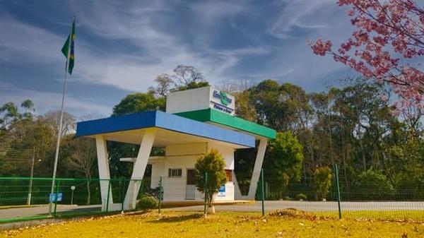 Brasil - EMBRAPA Suinos y Aves cumple 50 años de investigaciones - Image 1