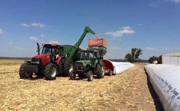 Argentina - La poscosecha es la nueva frontera de la eficiencia agrícola - Image 1