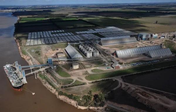 Argentina - La poscosecha es la nueva frontera de la eficiencia agrícola - Image 2