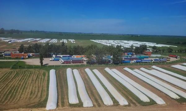 Argentina - La poscosecha es la nueva frontera de la eficiencia agrícola - Image 4
