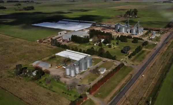 Argentina - La poscosecha es la nueva frontera de la eficiencia agrícola - Image 3