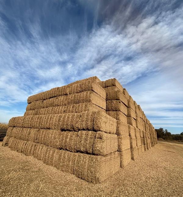 Argentina - De residuo a energía limpia: cómo una empresa resolvió una problemática ambiental - Image 1