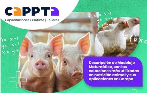 Ecuaciones matematicas en nutrición animal. Capacitación desde Guatemala - Image 1