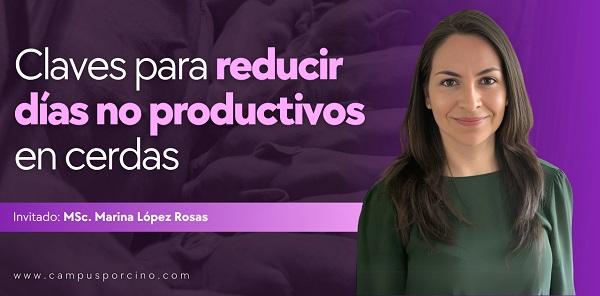 CerdoCast #190 - Claves para reducir los días no productivos en cerdas - Image 1