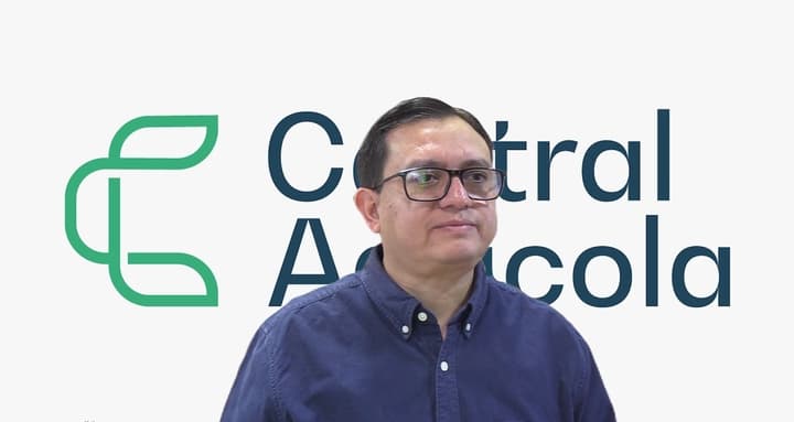 Micotoxinas en granos: estrategias de mitigación mediante adsorción e inactivación