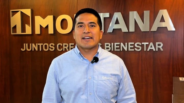 Control de insectos en granjas avícolas: estrategias según cada plaga