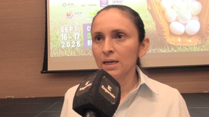 Inteligencia Artificial: Del dato a la decisión