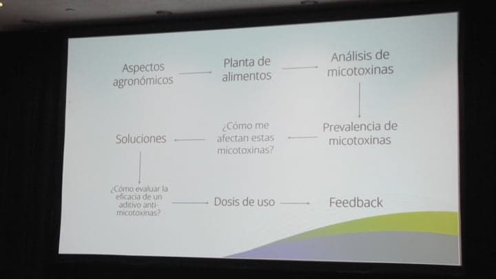 El problema de las micotoxinas y la metodología del estudio en Perú