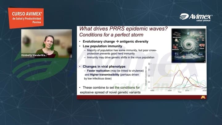 PRRS: la combinación de evolución viral, inmunidad, transmisión y manejo