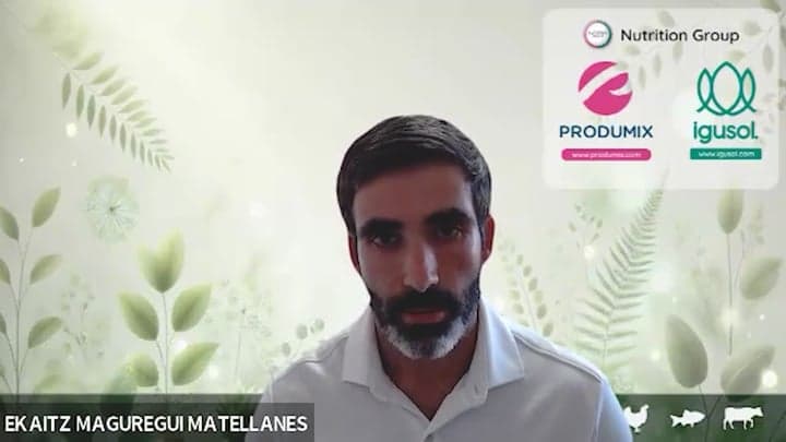 Aditivos glucogénicos en lechones: una alternativa nutricional a la grasa