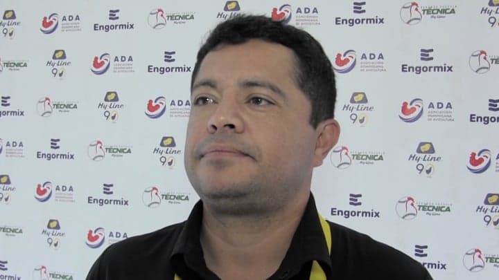 Compostaje de Gallinaza: Sostenibilidad y Rentabilidad Avícola