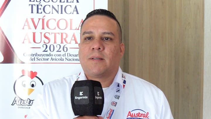 Energía disponible en forma directa para monogástricos