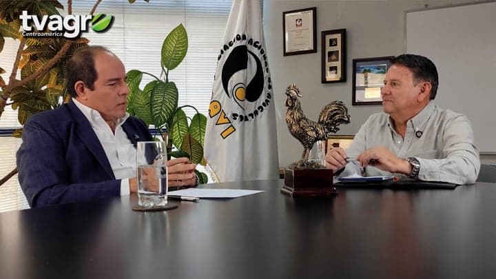 OVUM 2026: Retos de la avicultura en Guatemala