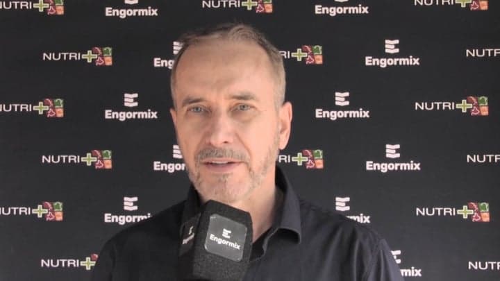 Control de micotoxinas en la producción avícola