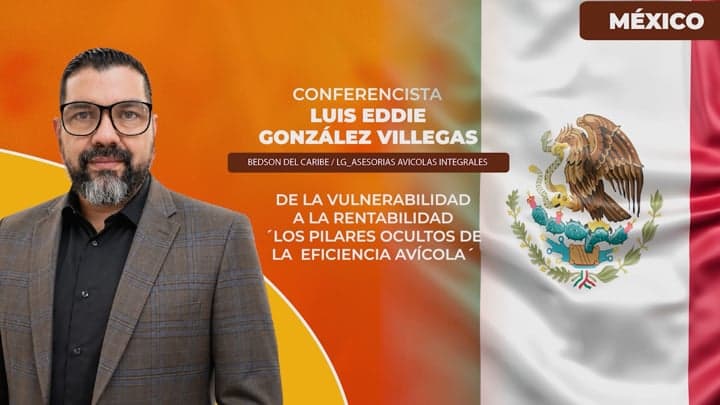 Pilares ocultos de la eficiencia avicola, De la vulnerabilidad a la rentabilidad