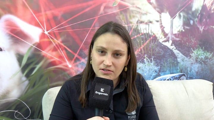 Prevalencia de micotoxinas en materias primas para nutrición de aves y cerdos en América Latina