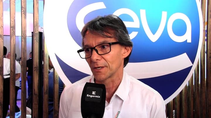 Gumboro, Vacunación e Inmunidad