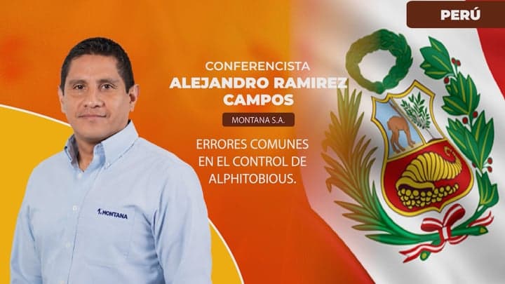 Alphitobious: Errores comunes en el control