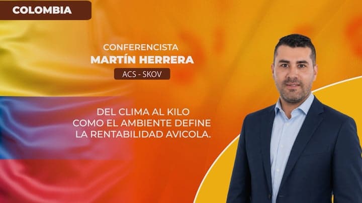 Como el ambiente define la rentabilidad avicola