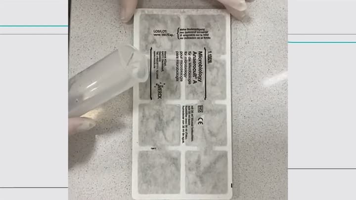 Clostridium perfringens: Indicador Clave de Contaminación en Agua de Consumo