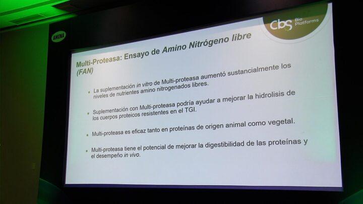 Multiproteasa y formulación de dietas