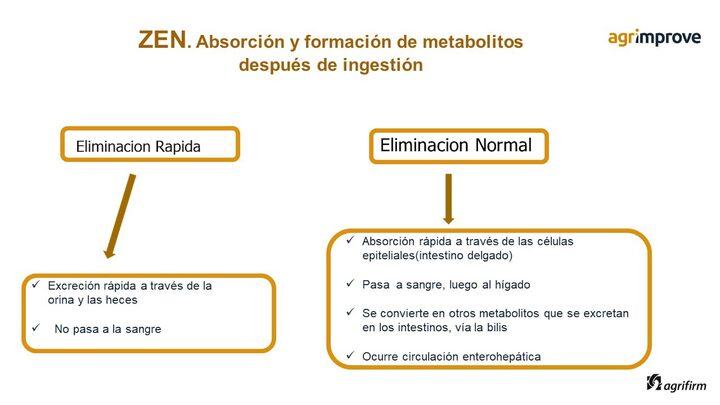 Zearalenona en avicultura