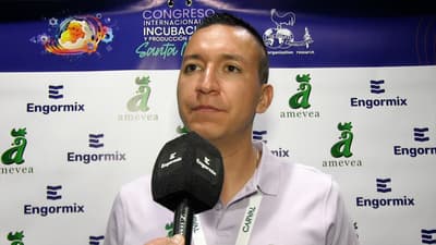 Congreso de Incubación y Producción Avícola: Experiencia de un estudiante