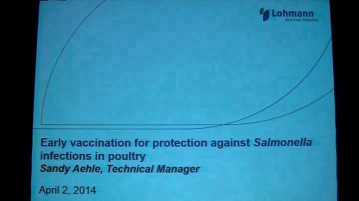 Vacunación temprana para prevenir Salmonella en aves