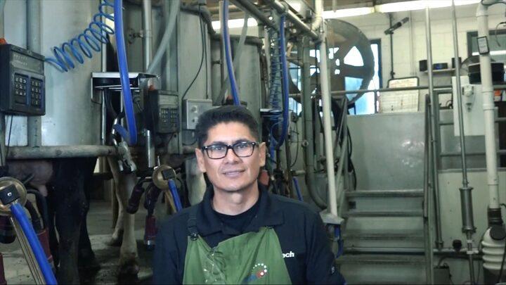 Rutina de ordeño: Procedimientos básicos claves para producir leche de calidad