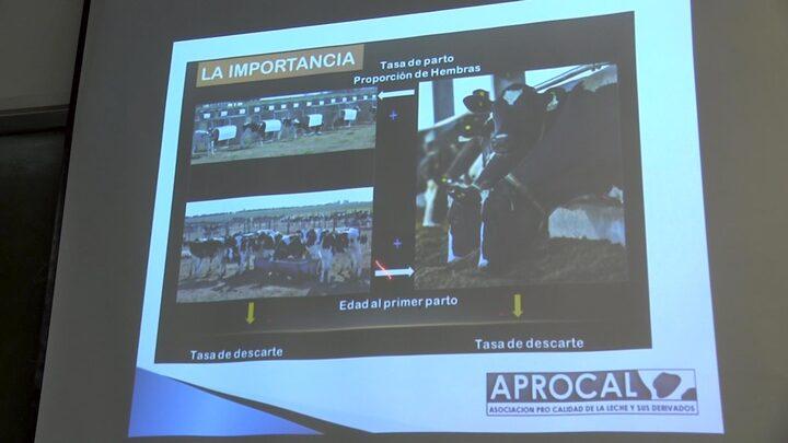 Preparto y cuidados neonatales “La clave para una crianza exitosa”