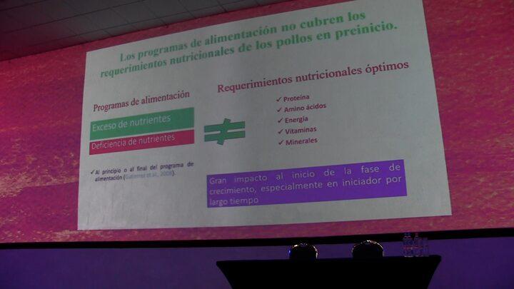 Bases de la nutrición del pollo en pre-inicio