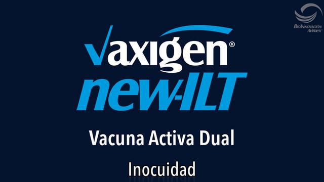 Newcastle y LTI, Vacuna activa dual
