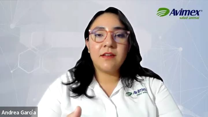 Enfermedades entéricas en porcinos: retos y avances en diagnóstico