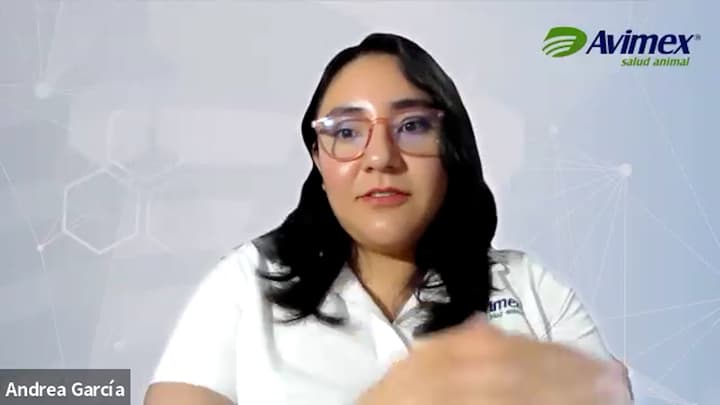 Control y prevención de enfermedades entéricas en porcinos: estrategias y tendencias