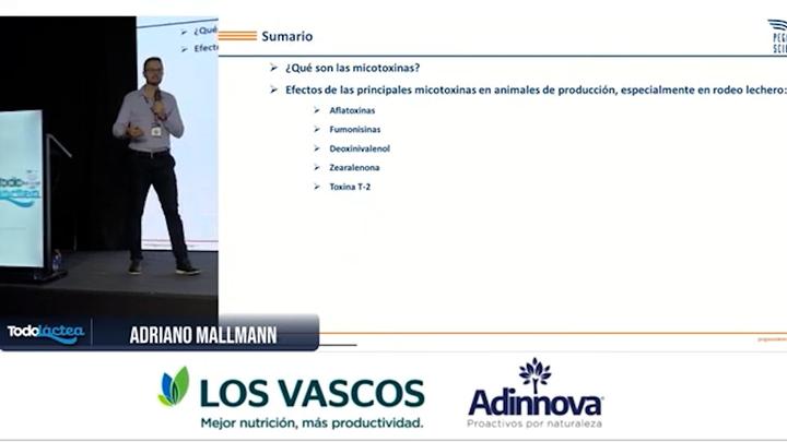 Micotoxinas en el Rodeo Lechero