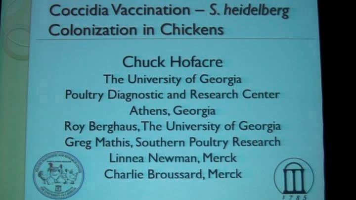 Salmonella Heidelberg en pollos, Efecto de vacuna contra coccidia