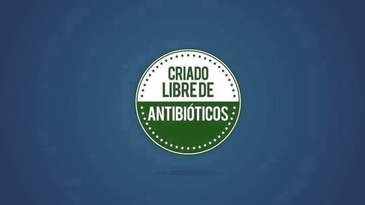 Antibióticos en el alimento balanceado - Una breve historia