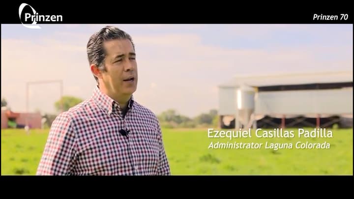 Empaque de Huevo: Automatización en granja mexicana