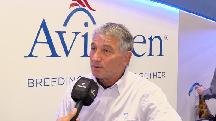 Producción avícola de Aviagen Argentina
