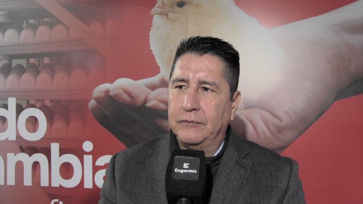 Tips para el período de levante en gallinas ponedoras