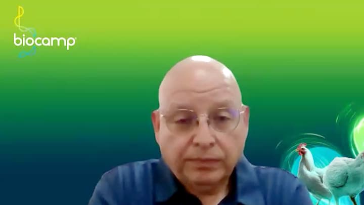 Disbiosis intestinal en aves: signos clínicos y productivos