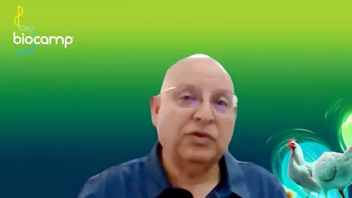 Evaluar probióticos en aves: eficacia y parámetros clave 