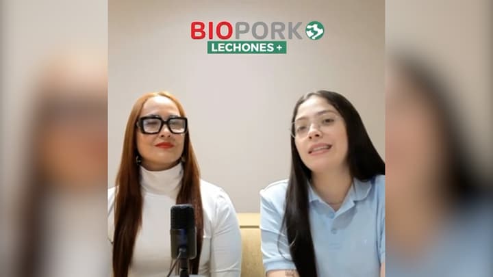 Beneficios del uso de talcos secantes en cerdos