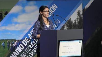 Eficiencia de la cría ovina