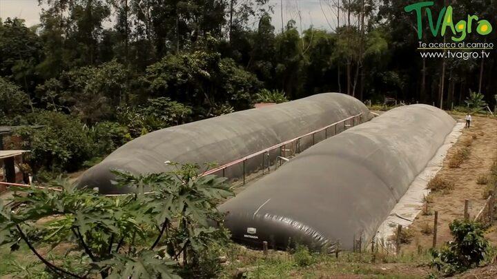 Biodigestores de bajo costo