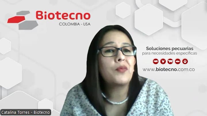 Optimización de la calidad de canal porcina